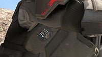 Chinese character "混" next to a depiction of an egg (together representing "混蛋", meaning "bastard"), on an ODST's body armor.