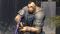 A Jiralhanae warrior with no helmet.