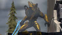 A Sangheili Warlord fading away with active camo in Halo Infinite.